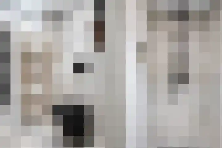 Warande 33 Nieuw-Vennep thumbnail 21