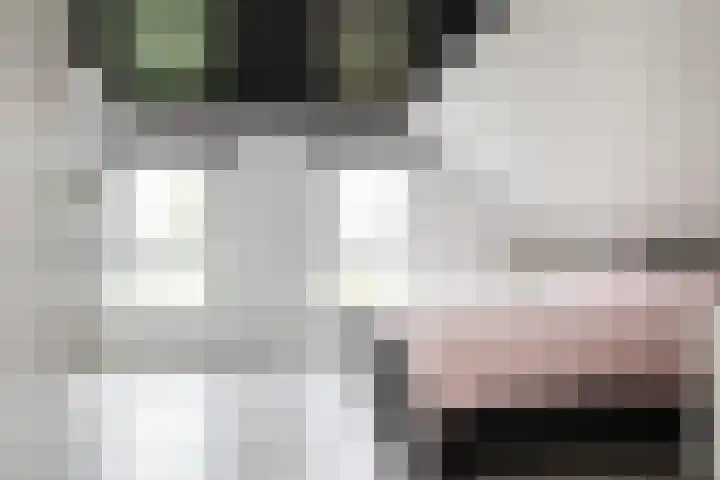 Warande 33 Nieuw-Vennep thumbnail 26