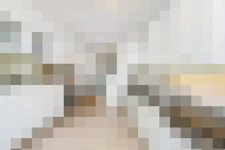 Warande 33 Rijswijk thumbnail 20