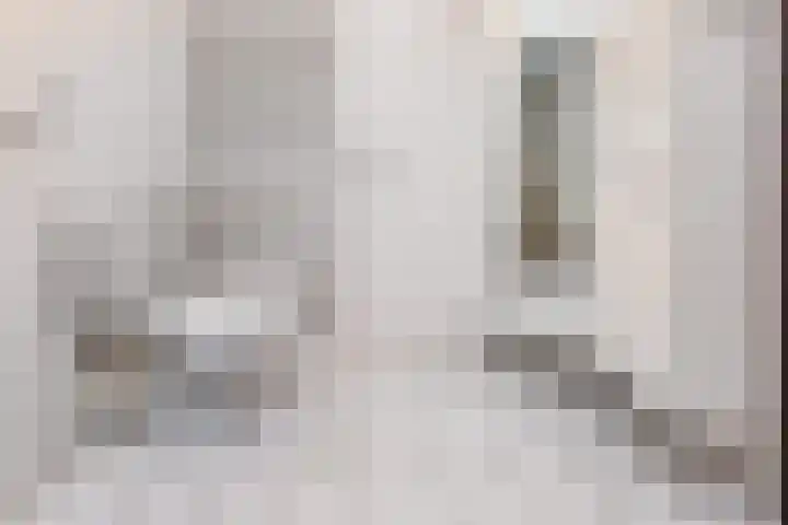 Warande 33 Rijswijk thumbnail 29