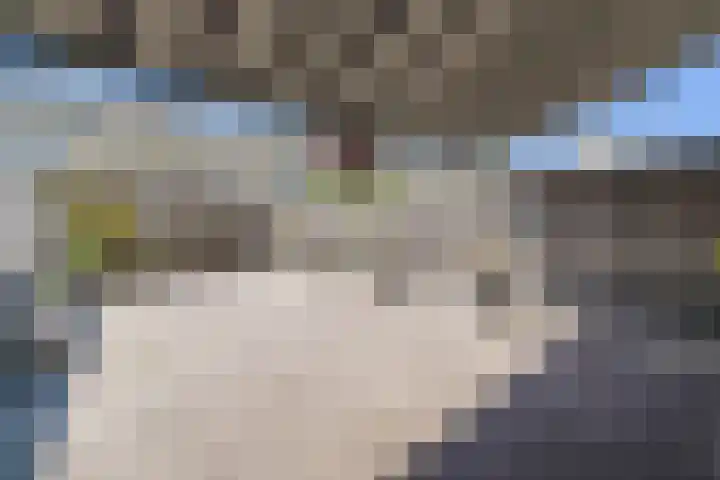 Warande 33 Rijswijk thumbnail 36