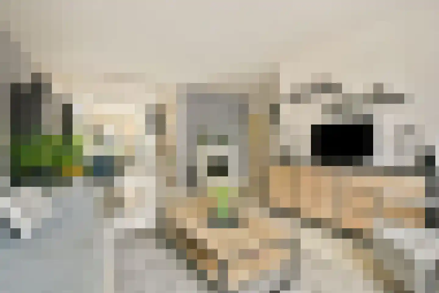 Warande 34 Beverwijk thumbnail 13