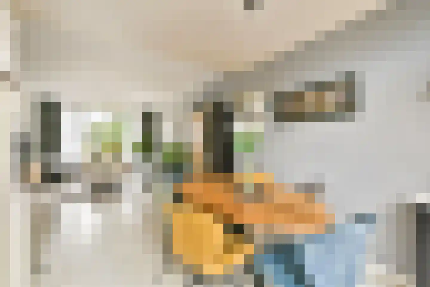 Warande 34 Beverwijk thumbnail 14
