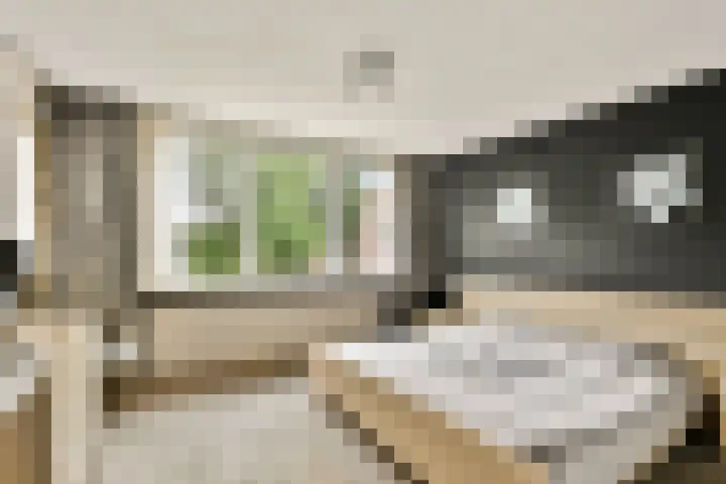 Warande 34 Beverwijk thumbnail 7