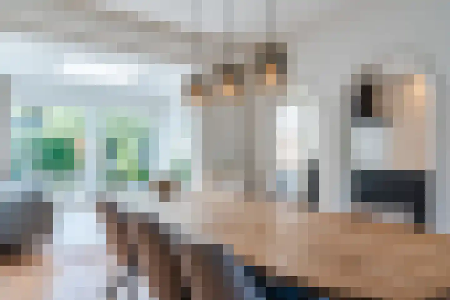 Warande 36 Valkenswaard thumbnail 16