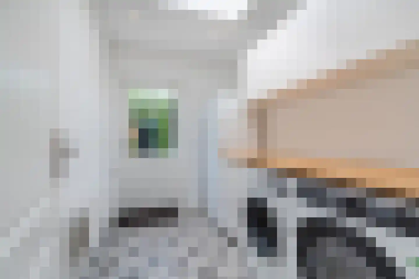 Warande 36 Valkenswaard thumbnail 30