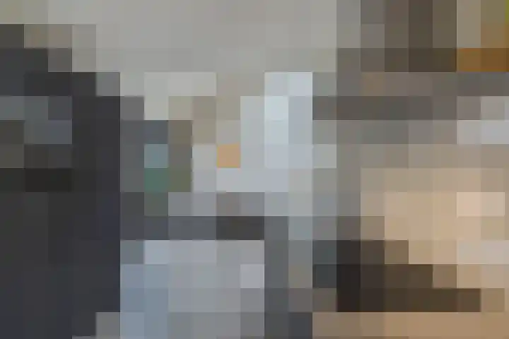 Warande 39 Marknesse thumbnail 12
