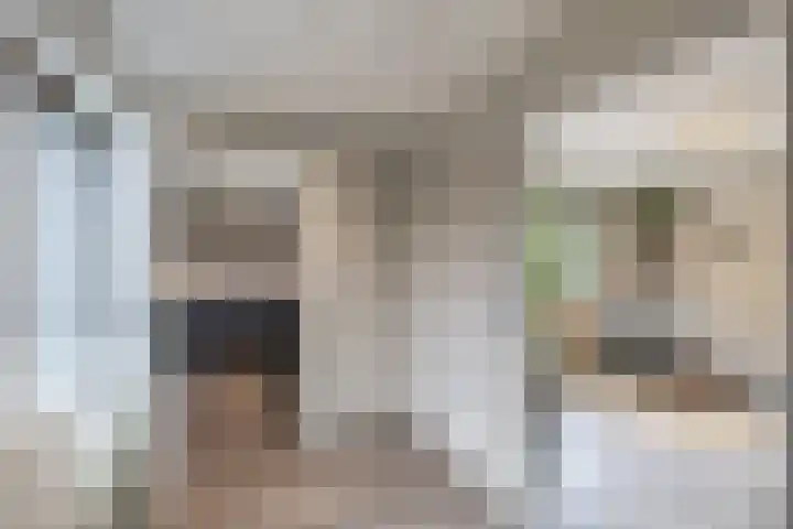 Warande 39 Marknesse thumbnail 13