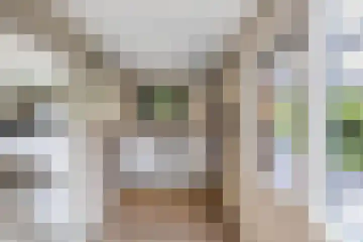 Warande 39 Marknesse thumbnail 14