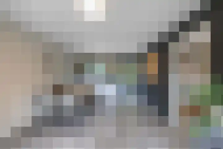 Warande 39 Marknesse thumbnail 15