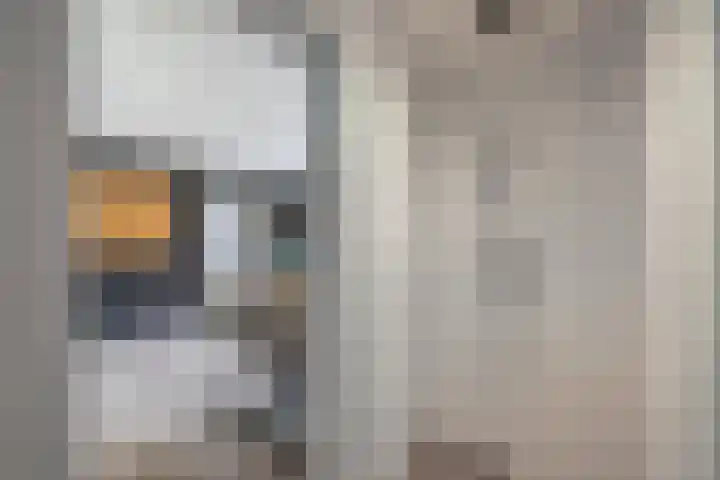 Warande 39 Marknesse thumbnail 19