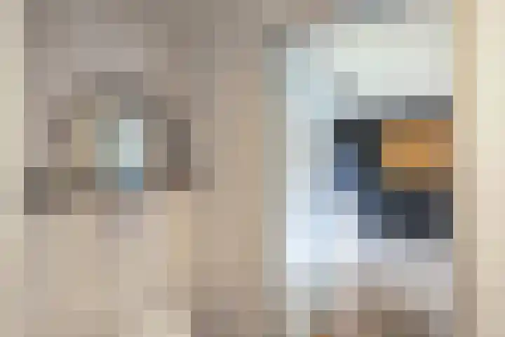 Warande 39 Marknesse thumbnail 20
