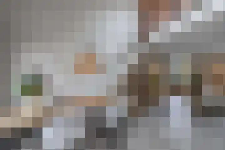 Warande 39 Marknesse thumbnail 23