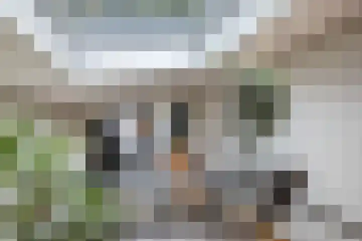 Warande 39 Marknesse thumbnail 24
