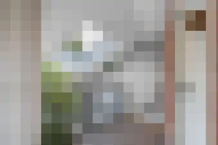 Warande 39 Marknesse thumbnail 25