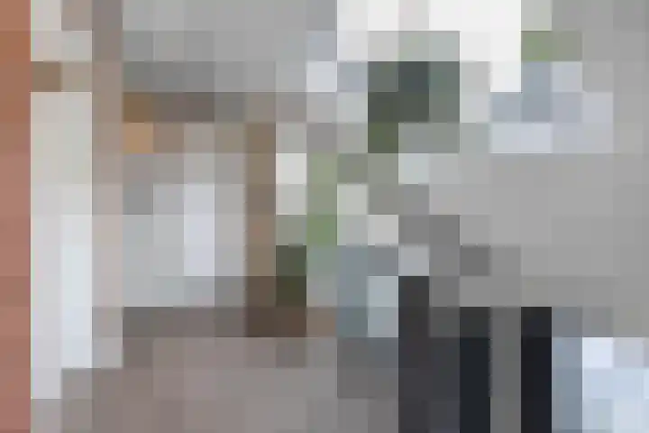 Warande 39 Marknesse thumbnail 26