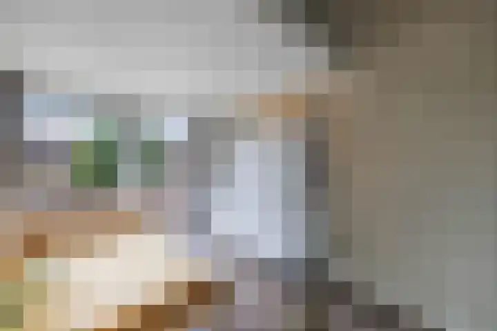 Warande 39 Marknesse thumbnail 27