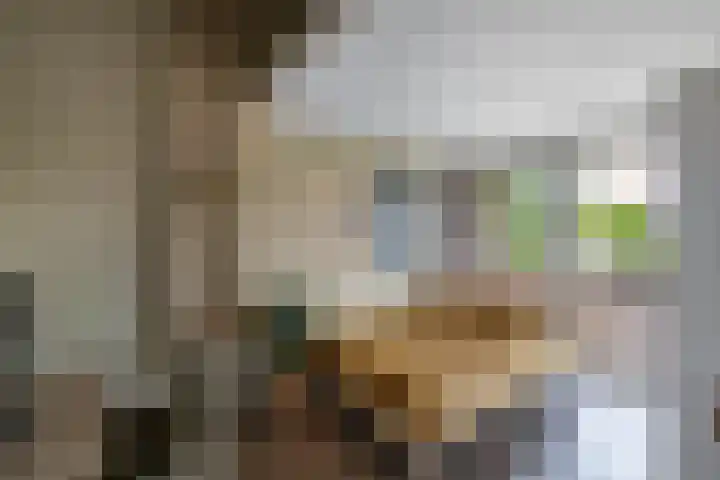 Warande 39 Marknesse thumbnail 28