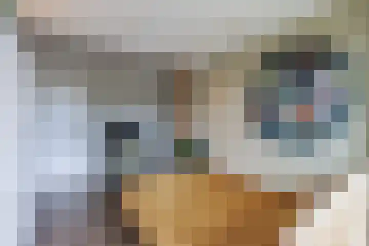 Warande 39 Marknesse thumbnail 29