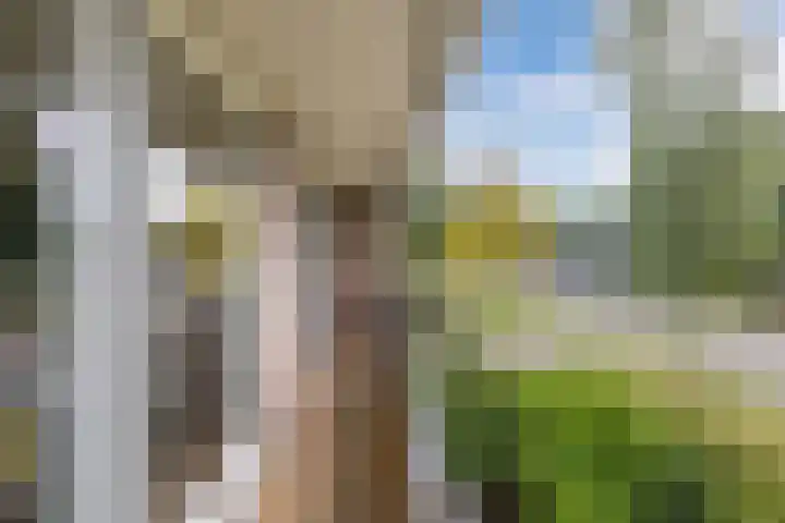 Warande 39 Marknesse thumbnail 30