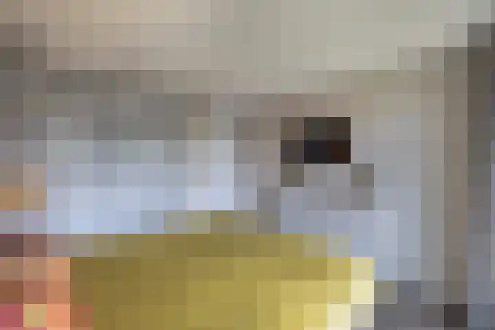 Warande 39 Marknesse thumbnail 32