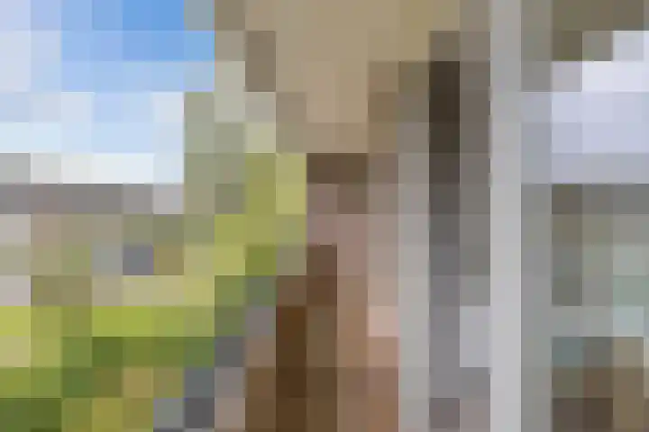 Warande 39 Marknesse thumbnail 34