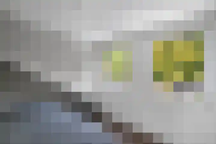 Warande 39 Marknesse thumbnail 35