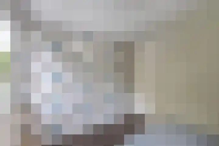 Warande 39 Marknesse thumbnail 36