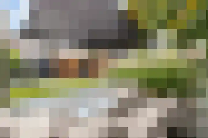 Warande 39 Marknesse thumbnail 39