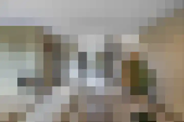 Warande 39 Marknesse thumbnail 4