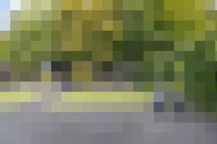 Warande 39 Marknesse thumbnail 41