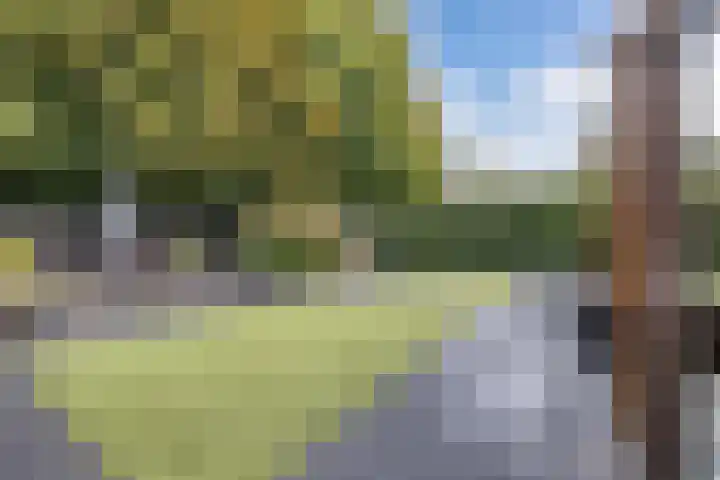 Warande 39 Marknesse thumbnail 42