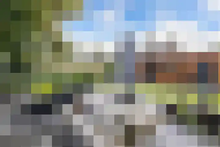 Warande 39 Marknesse thumbnail 43