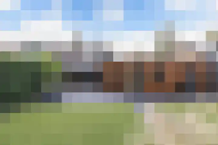 Warande 39 Marknesse thumbnail 44