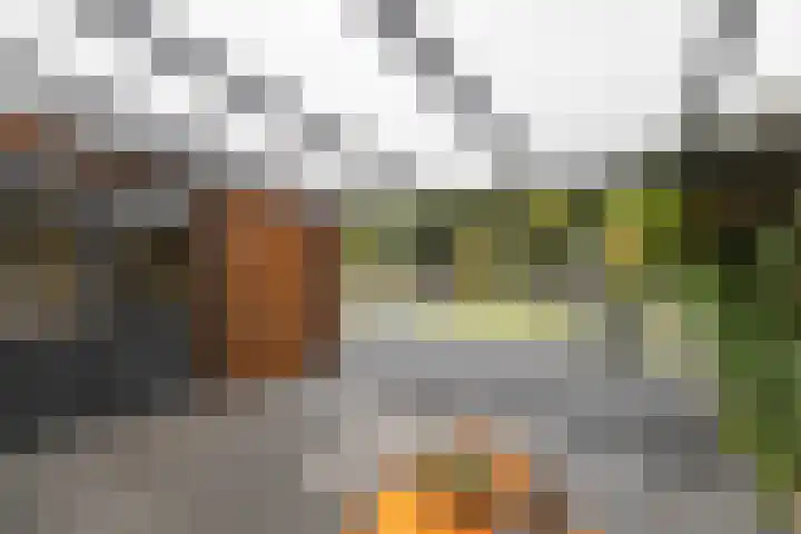 Warande 39 Marknesse thumbnail 46