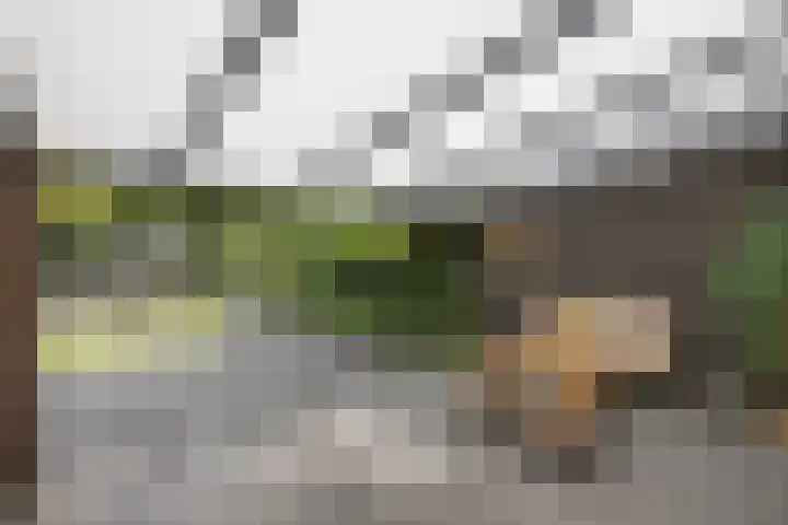 Warande 39 Marknesse thumbnail 47