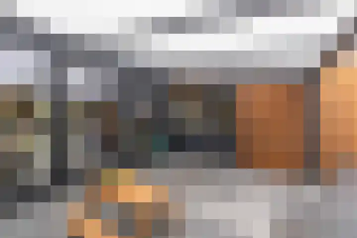Warande 39 Marknesse thumbnail 48