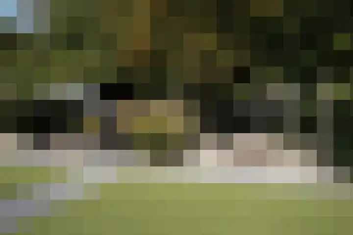 Warande 39 Marknesse thumbnail 49