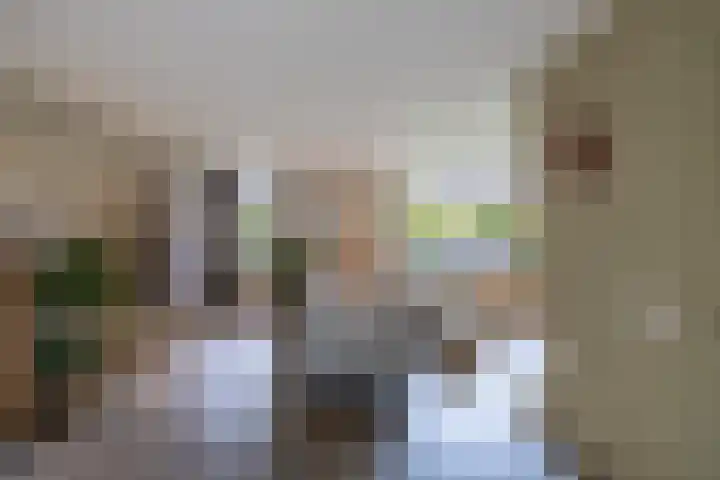 Warande 39 Marknesse thumbnail 5