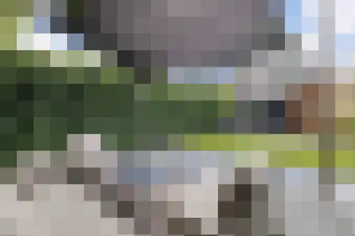 Warande 39 Marknesse thumbnail 50