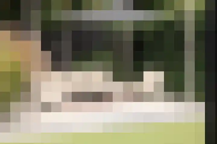 Warande 39 Marknesse thumbnail 51