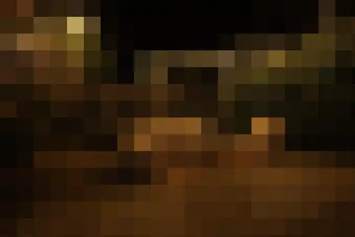 Warande 39 Marknesse thumbnail 53