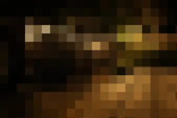 Warande 39 Marknesse thumbnail 54