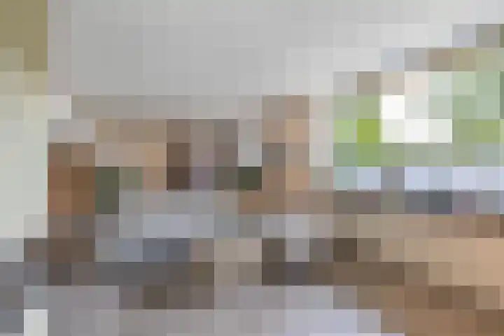 Warande 39 Marknesse thumbnail 6