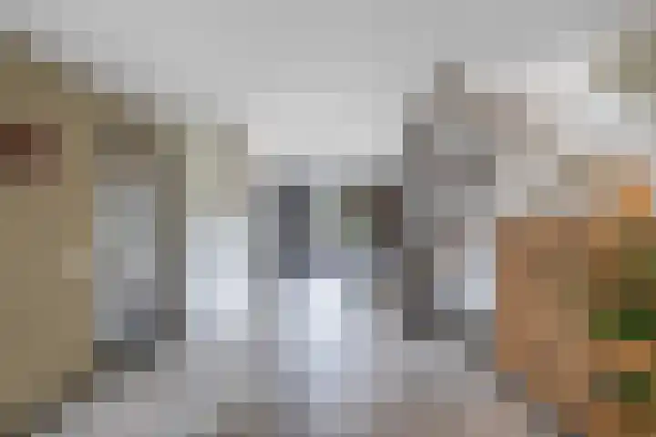 Warande 39 Marknesse thumbnail 7