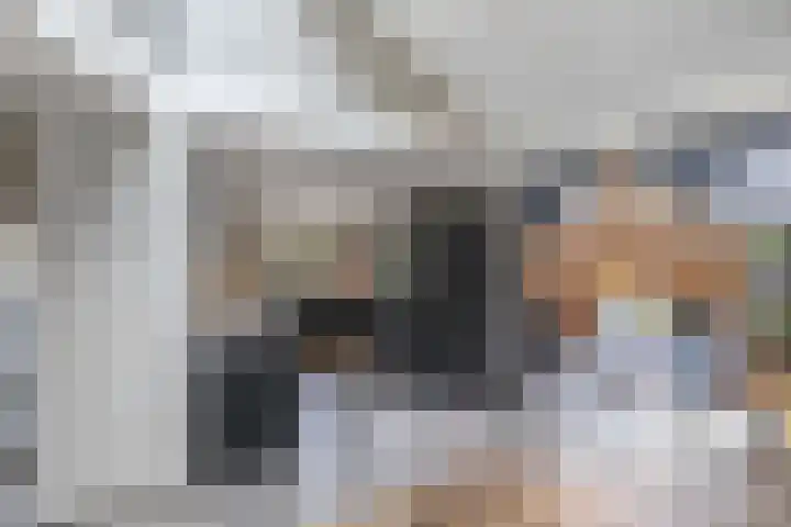 Warande 39 Marknesse thumbnail 8