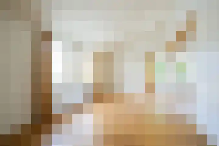 Warande 4 Schin op Geul thumbnail 19