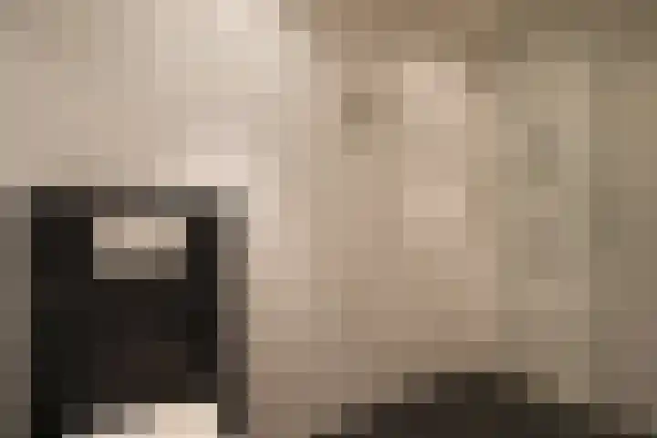 Warande 4 Schin op Geul thumbnail 28