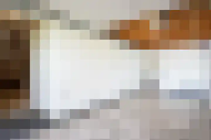 Warande 4 Schin op Geul thumbnail 30