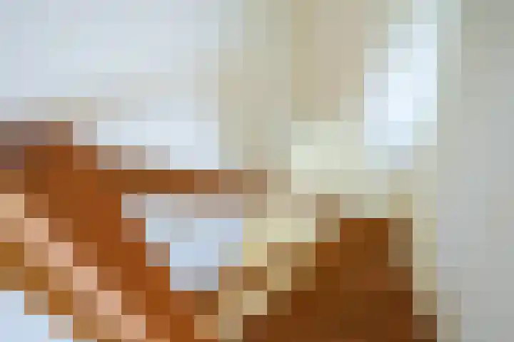 Warande 4 Schin op Geul thumbnail 32